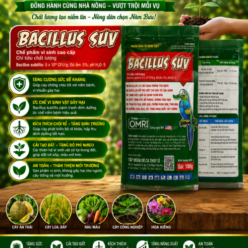 PHÂN BÓN VI SINH VẬT BACILLUS  GÓI 100G