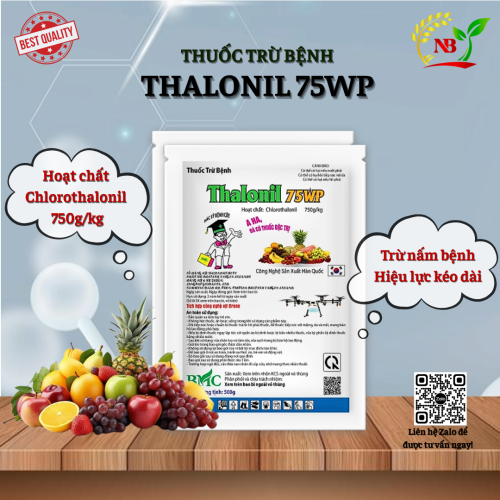 (BỆNH) THALONIL 75WP – Gói 500g