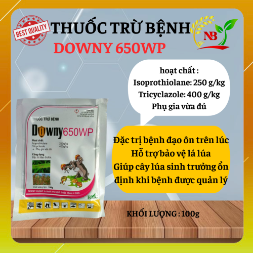 DOWNY 650WP – GIẢI PHÁP HỖ TRỢ PHÒNG TRỪ BỆNH ĐẠO ÔN TRÊN LÚA